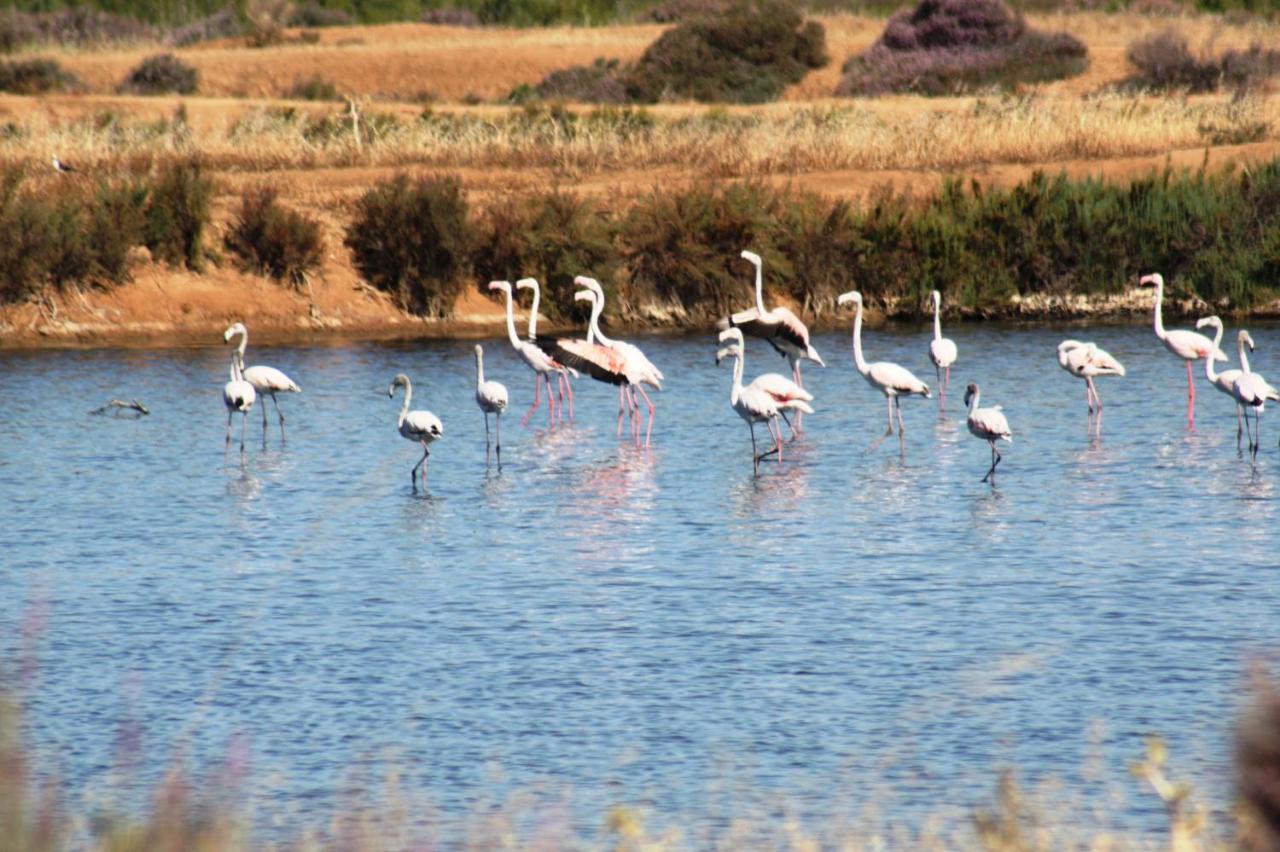 Herdade Dos Salgados Do Fialho FAO Eksteriør bilde