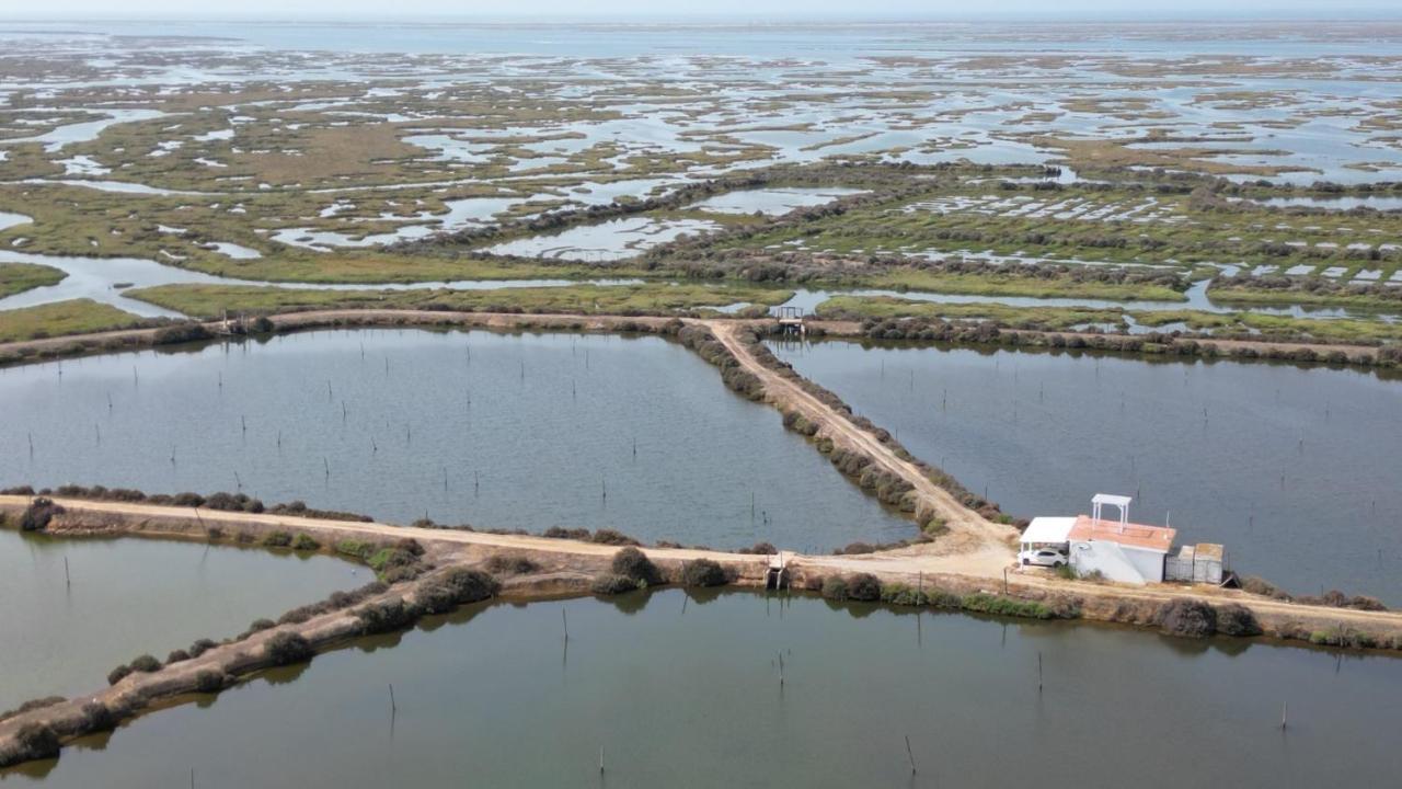 Herdade Dos Salgados Do Fialho FAO Eksteriør bilde