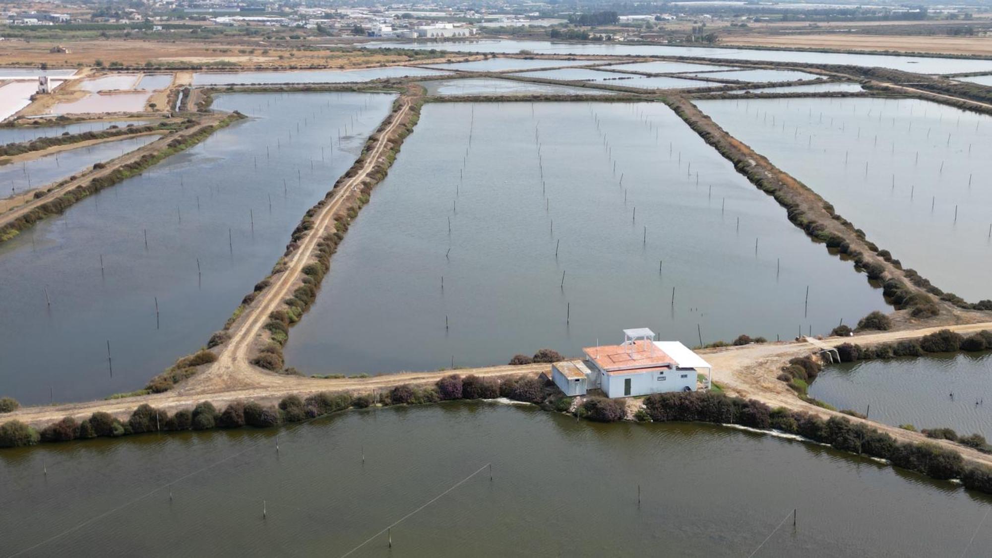 Herdade Dos Salgados Do Fialho FAO Eksteriør bilde