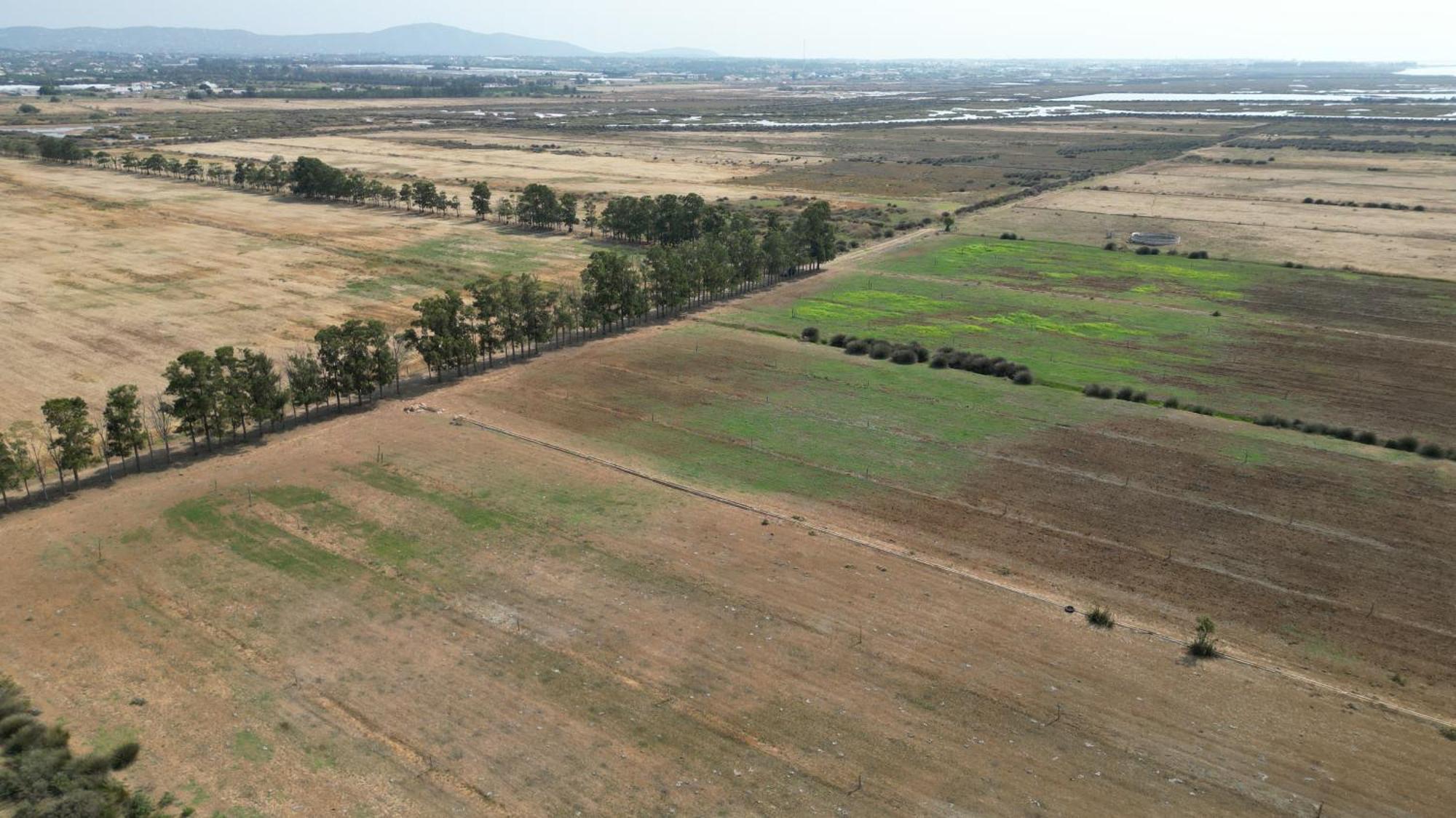 Herdade Dos Salgados Do Fialho FAO Eksteriør bilde
