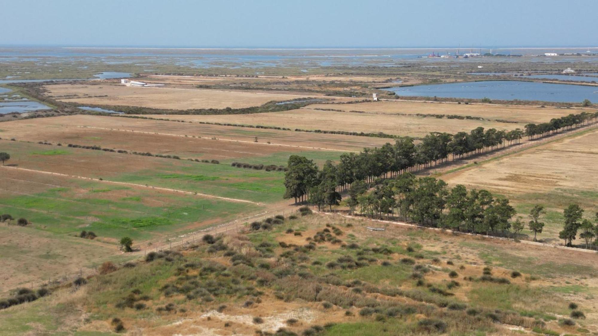 Herdade Dos Salgados Do Fialho FAO Eksteriør bilde