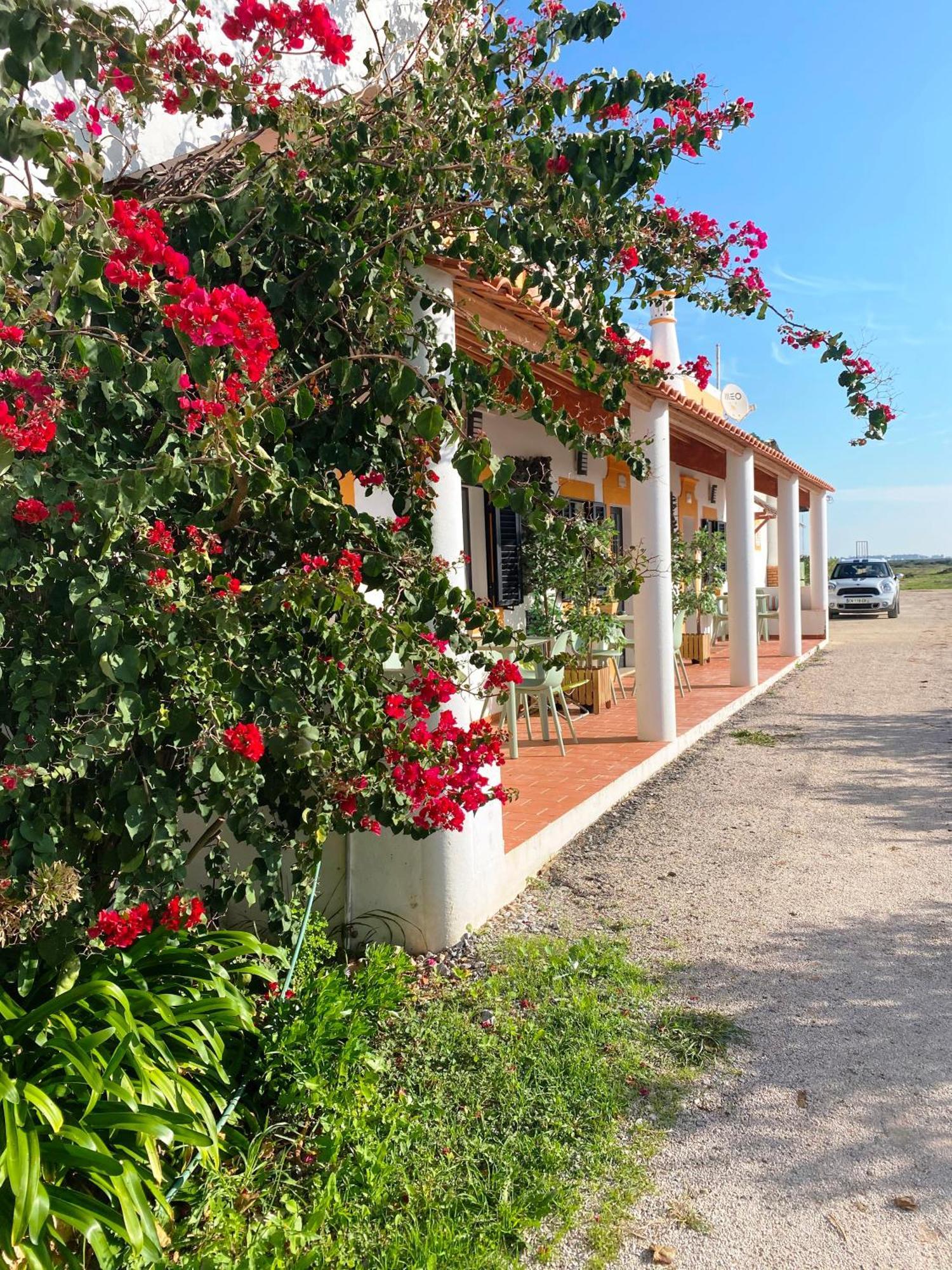 Herdade Dos Salgados Do Fialho FAO Eksteriør bilde